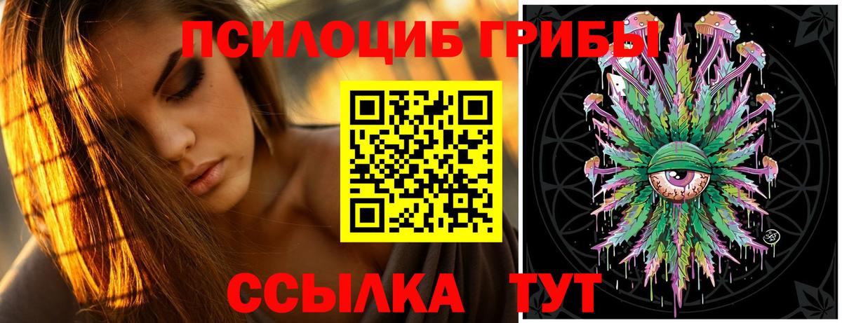 Галлюциногенные грибы мухоморы Курчатов